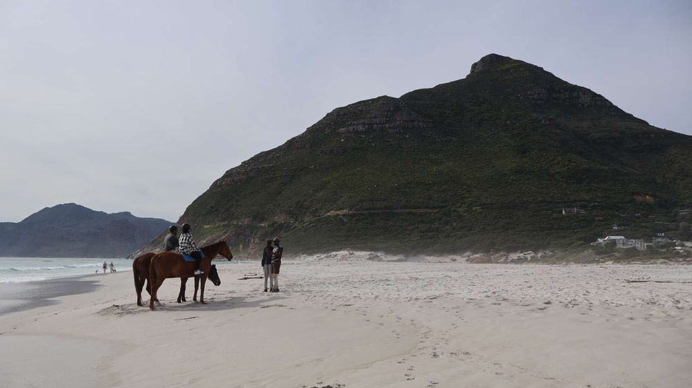 Enjoy horse rides on the beach