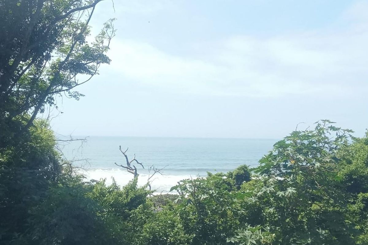 A scenic view of the ocean framed by lush coastal vegetation, showcasing the natural landscape of the vacant residential land.