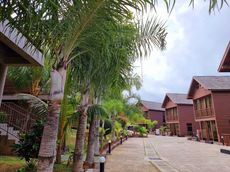 A well-maintained commercial property complex featuring multiple timber-clad buildings, paved walkways, and mature palm tree landscaping.