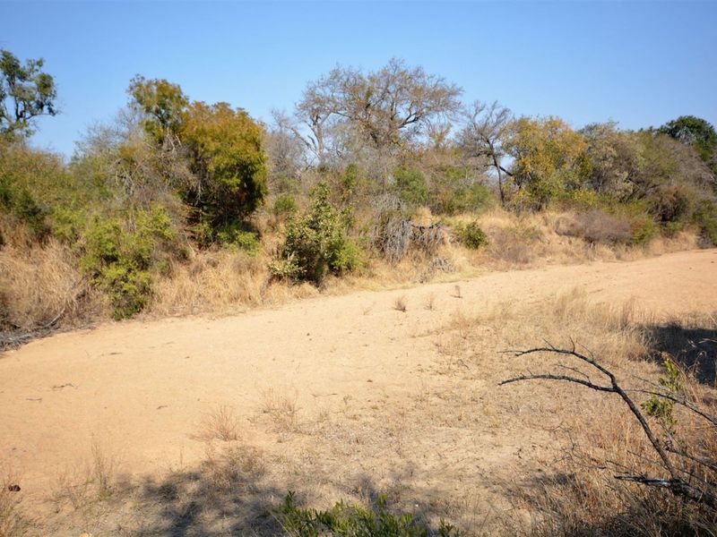 Vacant Land in MODITLO NATURE RESERVE - Photo 9
