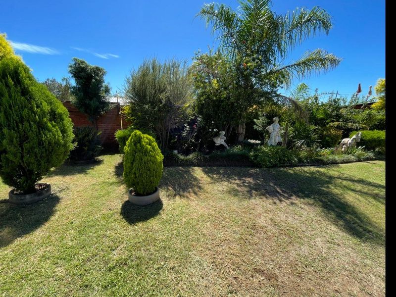 A well-maintained residential garden featuring mature trees, manicured shrubs, and a brick boundary wall, providing a private outdoor space.