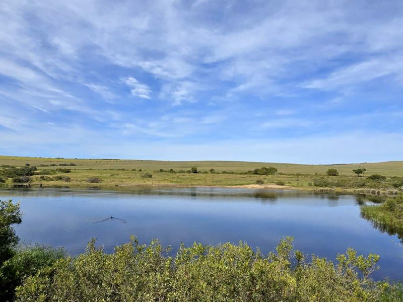 Prime 262ha Agricultural Farm for Sale Near Hartenbos - Photo 2