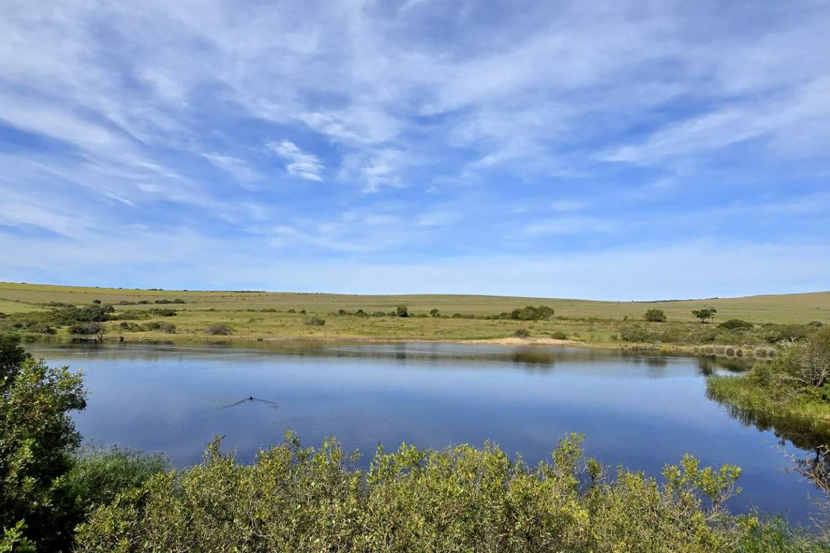 Prime 262ha Agricultural Farm for Sale Near Hartenbos - Photo 2