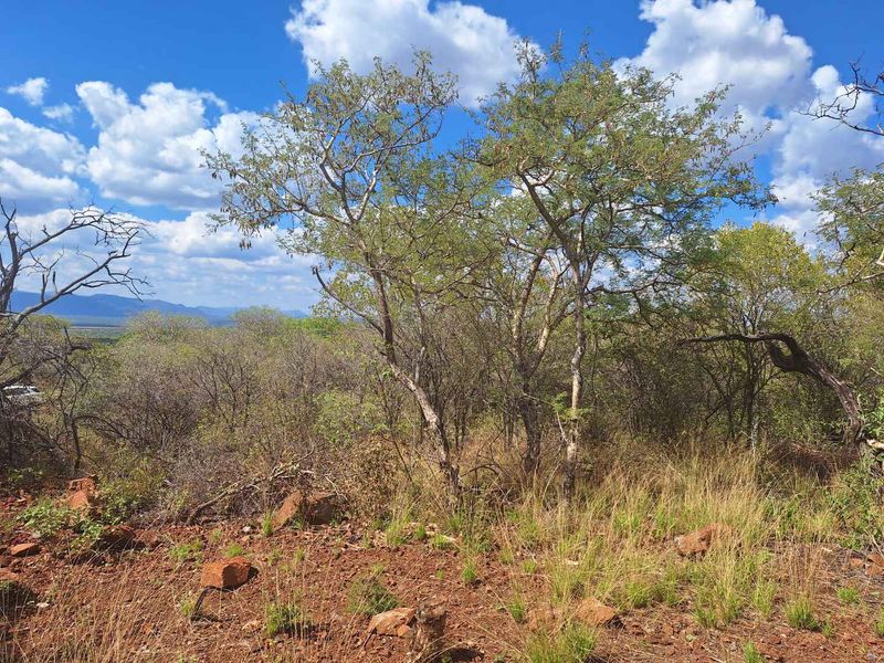 Infinite Beauty - Limited Sstands - Photo 5