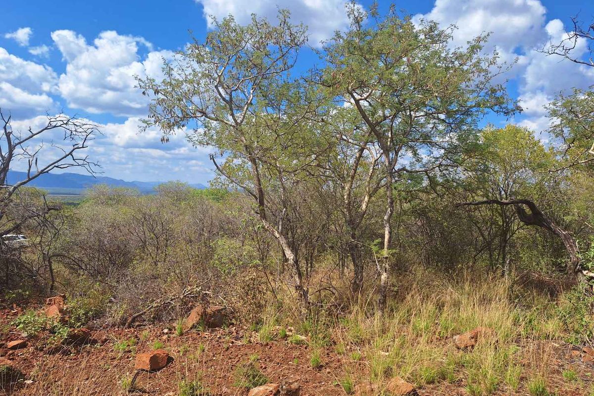 Infinite Beauty - Limited Sstands - Photo 5