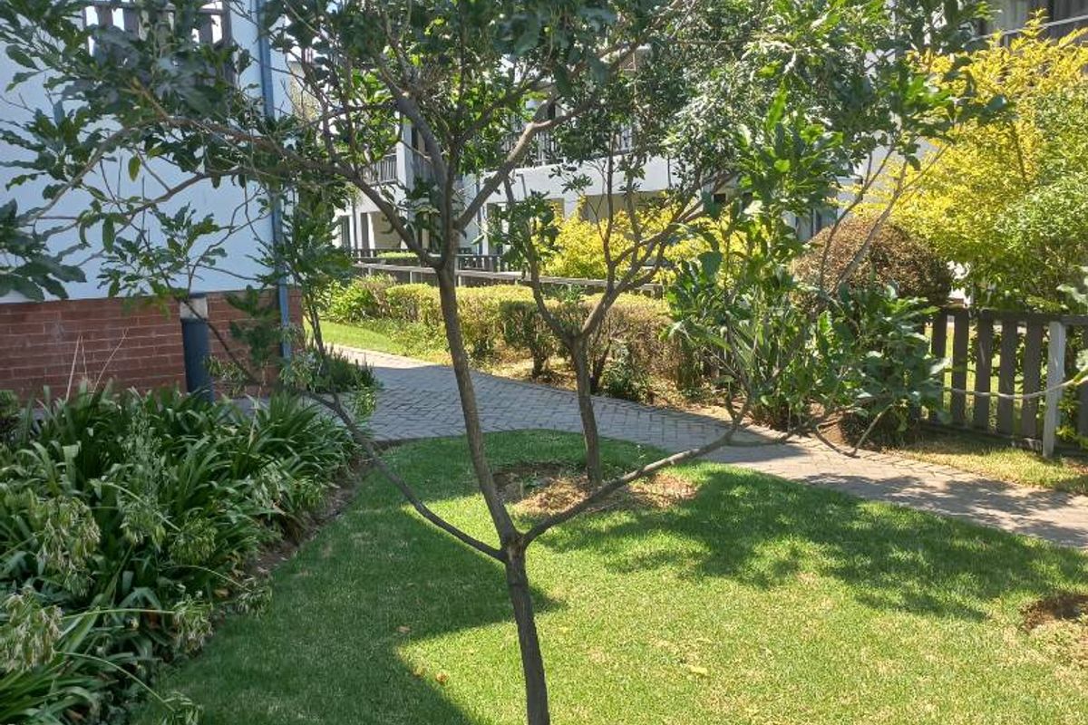 2 Bedroom 2 bathroom home for rent in Sandton(fourways) - Photo 4