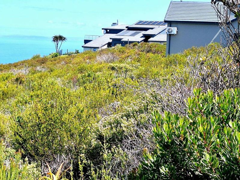 980m2 Vacant Land in Village on Sea with Stunning Ocean Views - Photo 4
