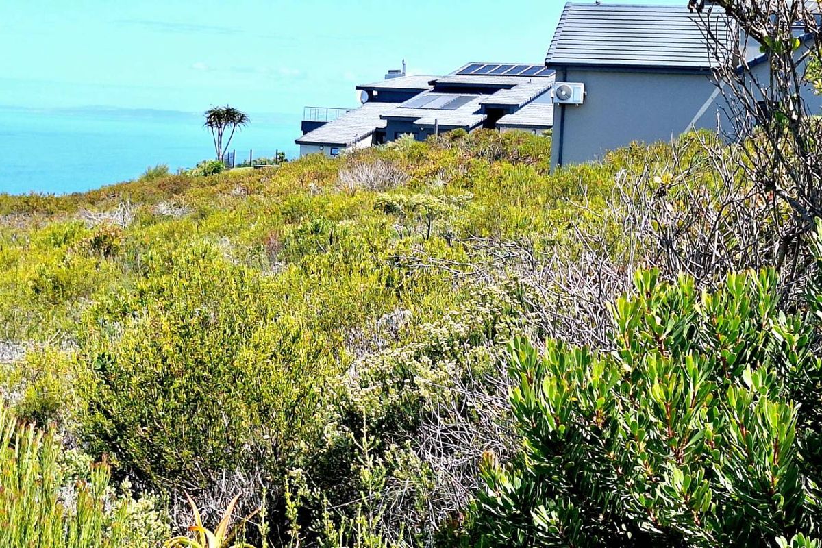 980m2 Vacant Land in Village on Sea with Stunning Ocean Views - Photo 4