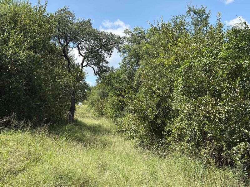 Prime Development opportunity between Hoedspruit and Phalaborwa - Photo 6