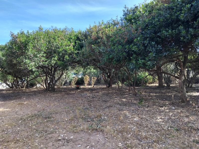 1088m2 Vacant Stand in Bergsig, Groot Brak Rivier. - Photo 5