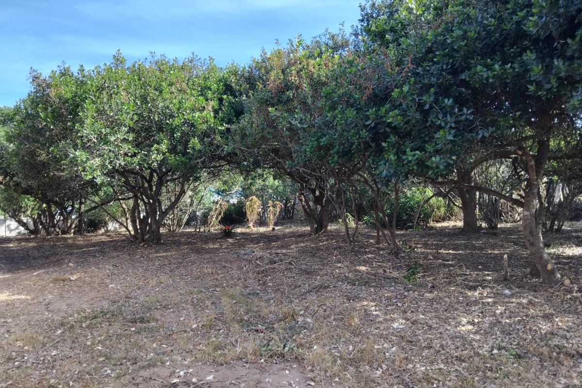 1088m2 Vacant Stand in Bergsig, Groot Brak Rivier. - Photo 5