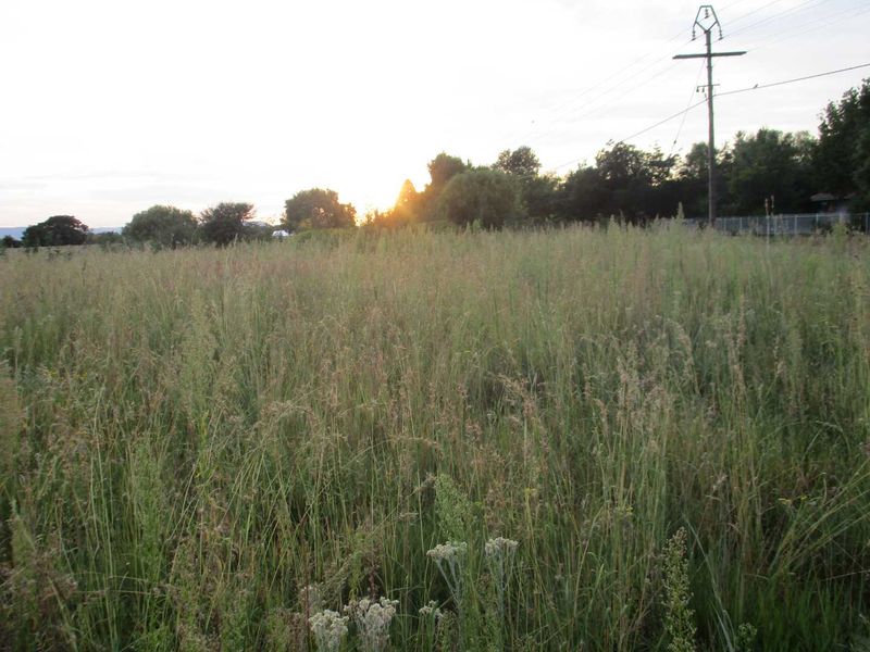 Calling all Developers - Photo 2