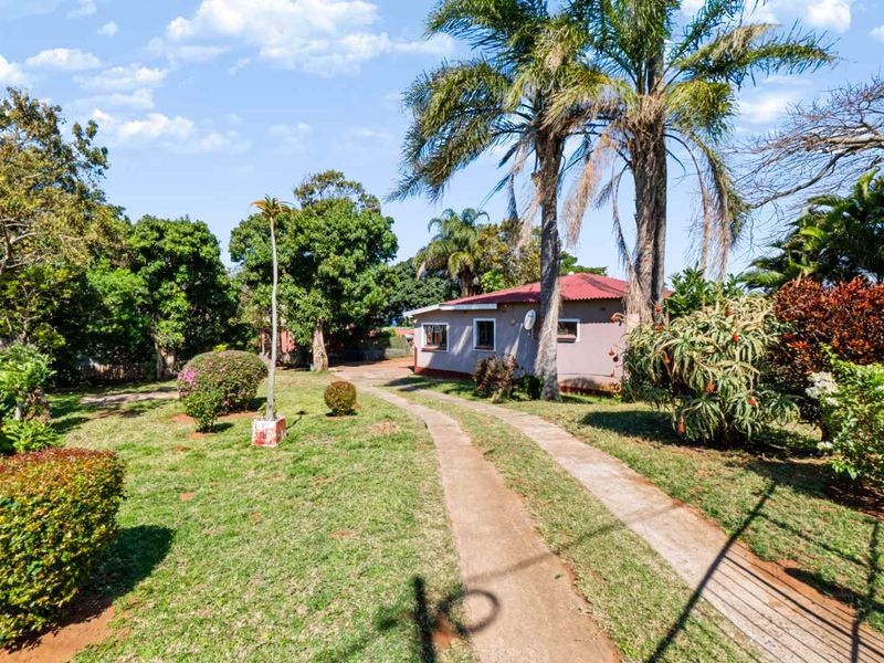 A view of the front exterior of the house featuring a concrete driveway leading to the entrance, surrounded by a well-established garden.