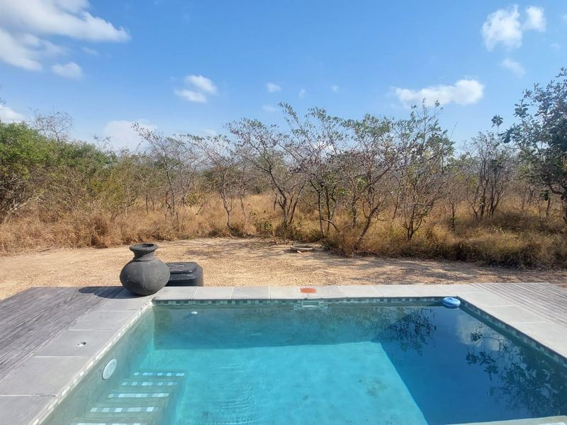 A private swimming pool featuring timber decking and stone coping, set against a natural bushveld landscape.