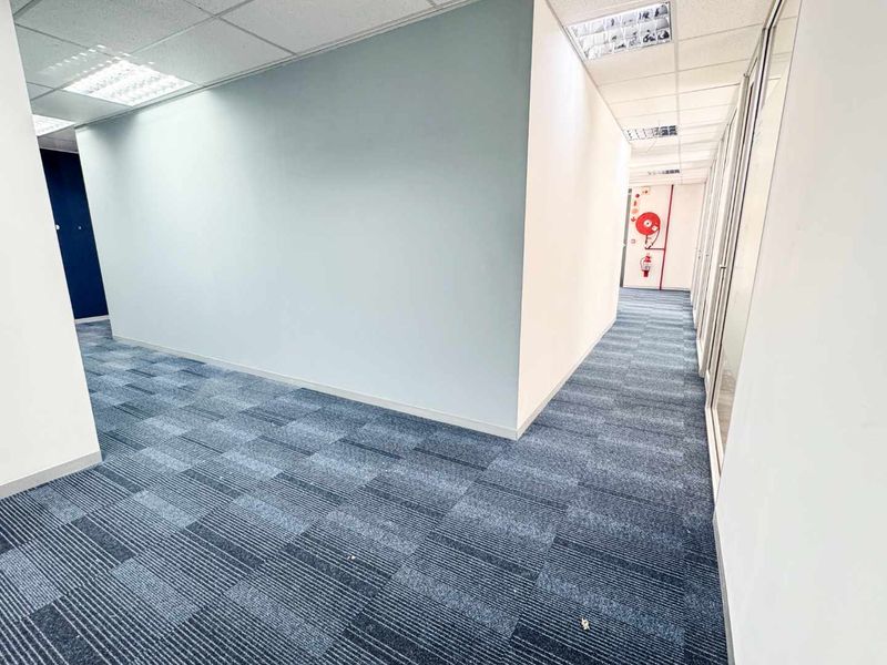 A clean, modern office hallway featuring blue carpet tiles, suspended ceilings with recessed lighting, and glass-partitioned office walls.