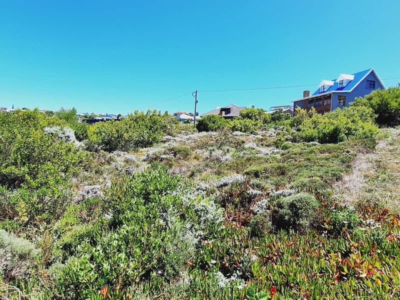 A vacant residential plot featuring native coastal vegetation and a precast concrete boundary wall, situated in a developed neighborhood.