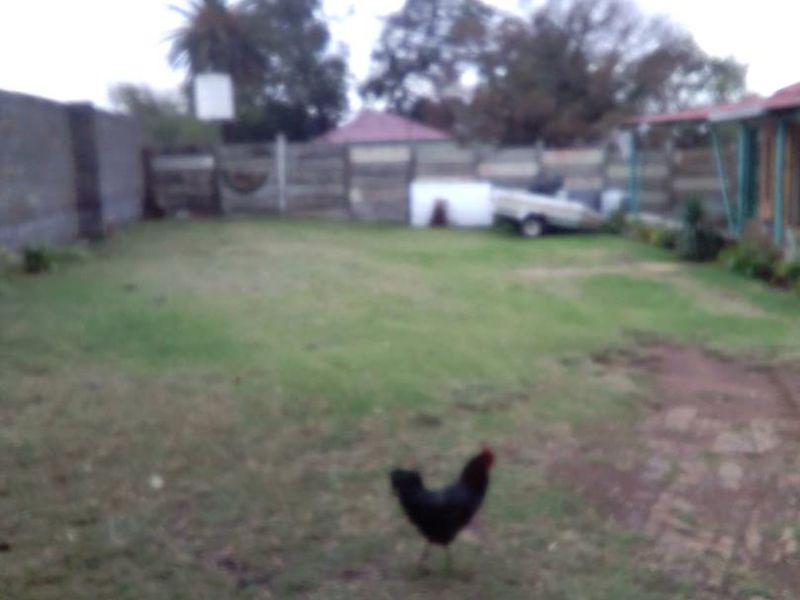 4.3-HECTARE PLOT FOR SALE IN PUTFONTEIN - Photo 10