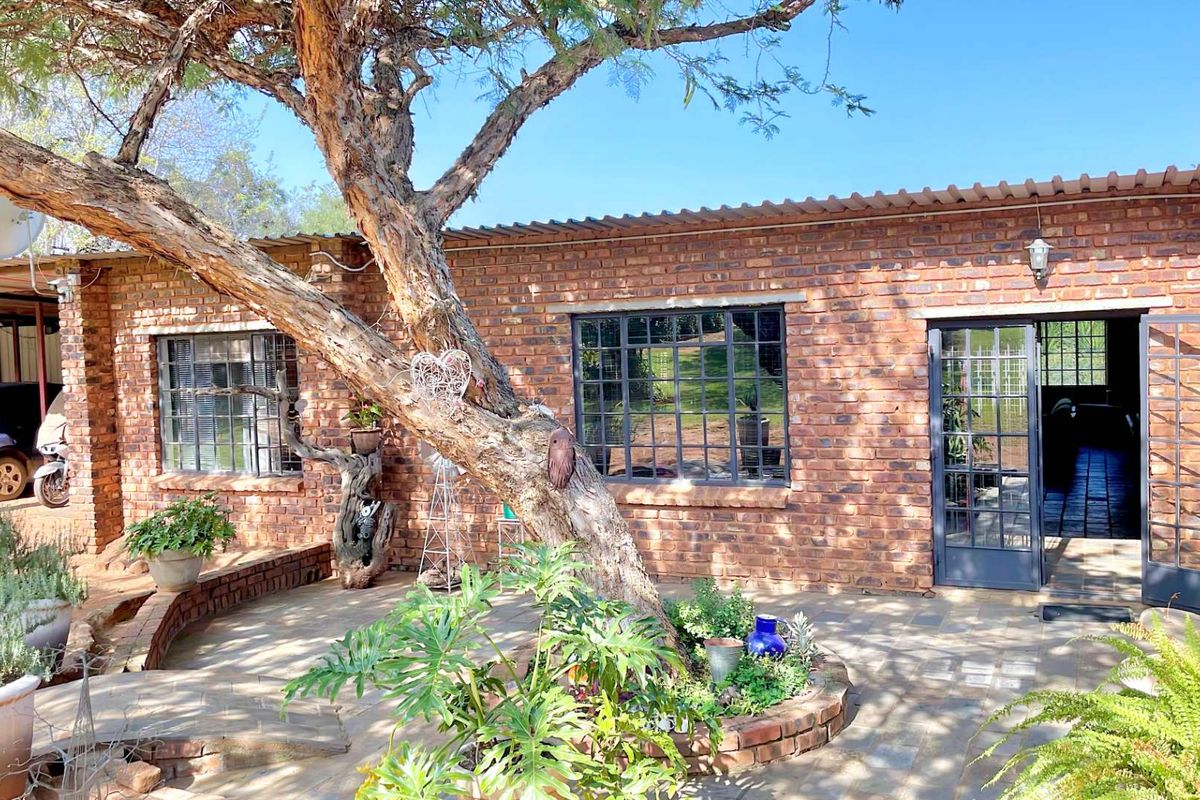 A charming exterior view of a face-brick dwelling featuring a paved patio area, mature tree, and steel-framed windows and doors.