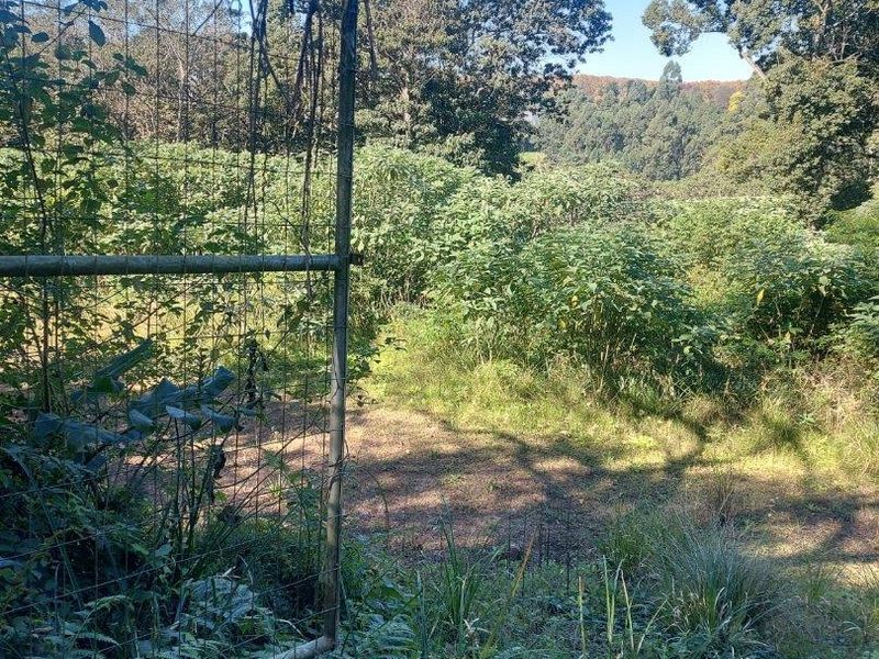 Stunning Vacant Land in Prime Hillcrest Location - Photo 6