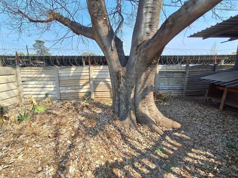 A rear garden area featuring a large mature tree, enclosed by a precast concrete boundary wall topped with security razor wire.