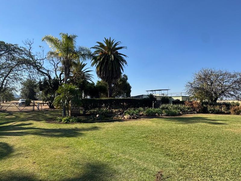 A well-maintained, expansive garden area featuring mature palm trees, established garden beds, and a large lawn on a farm property.