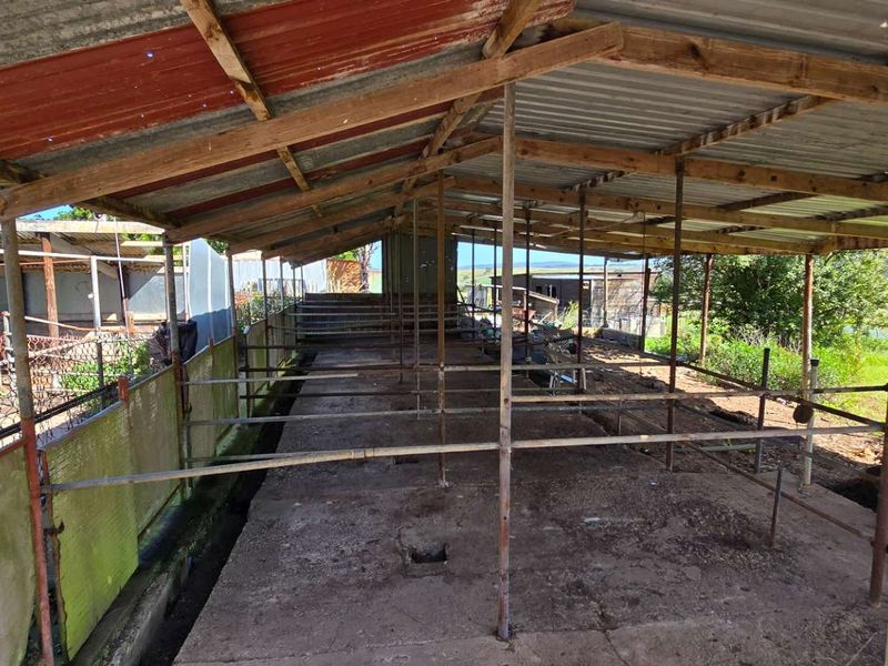 Charming Property with Scenic Views in Ruiterbosch - Photo 8