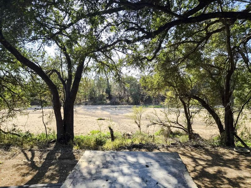 A scenic outdoor view featuring mature trees overlooking a dry riverbed or sandy landscape with a concrete slab in the foreground.