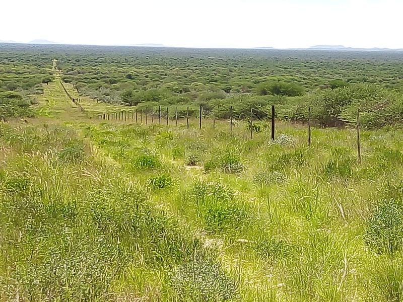 Expansive view of the farm landscape featuring a long wire boundary fence stretching across the open veld.