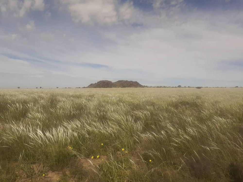 View of the field after the rain. 