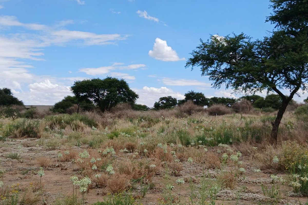 Perfectly positioned on Hole 1, for golf enthusiasts. - Photo 5