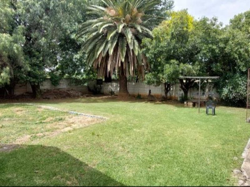 A spacious backyard garden featuring a large lawn, mature trees, a concrete patio area, and perimeter boundary walling.