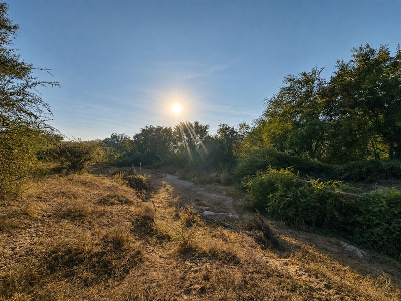 Exceptional Bushveld Stand with River Access - Photo 4