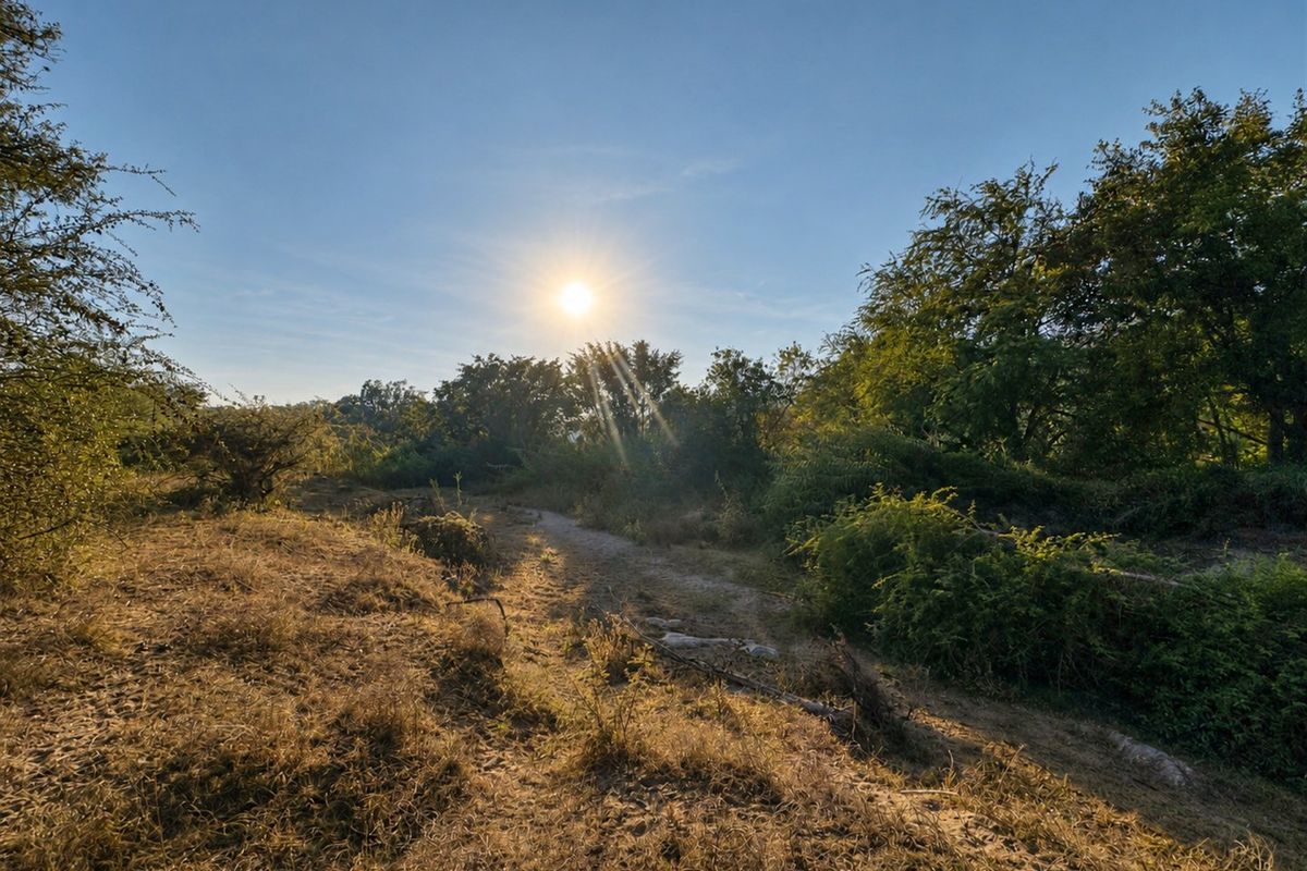 Exceptional Bushveld Stand with River Access - Photo 4
