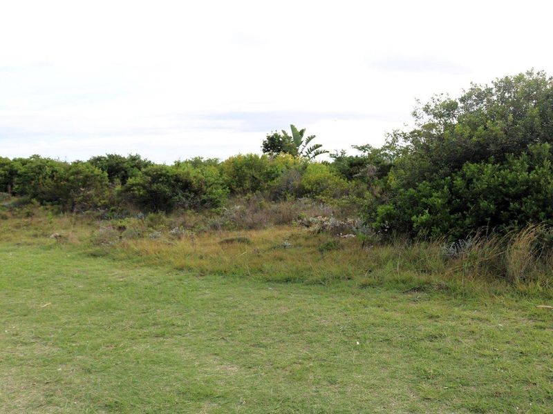 Investor's Dream: 10,839.52m2 Vacant Land for Sale! - Photo 5
