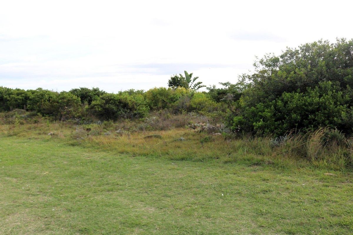 Investor's Dream: 10,839.52m2 Vacant Land for Sale! - Photo 5