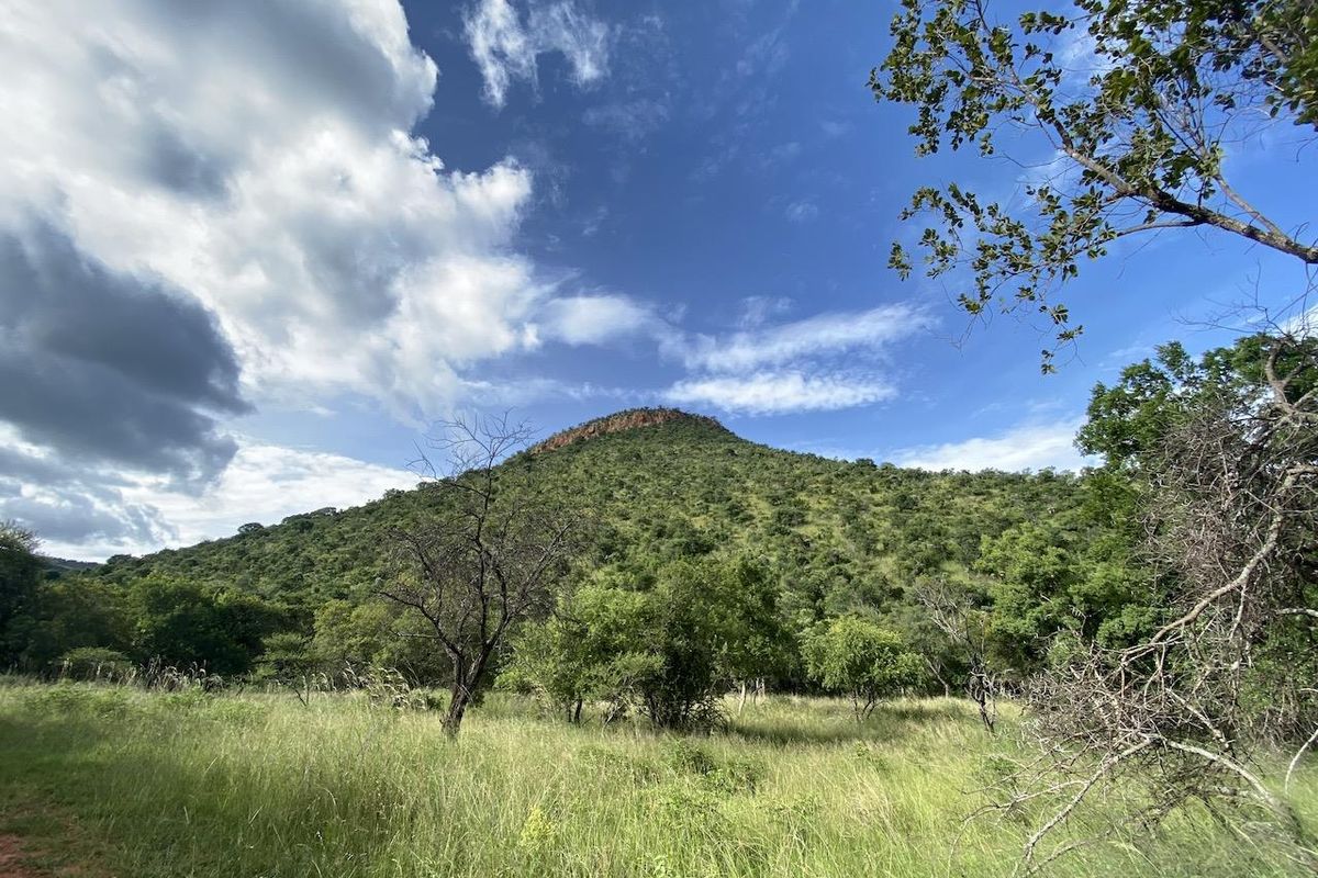 Build Your Dream Home - Photo 4