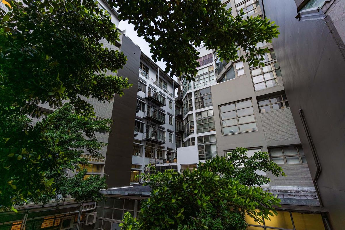 A low-angle exterior view of a modern apartment building complex featuring multi-story facades, balconies, and large windows surrounded by mature trees.
