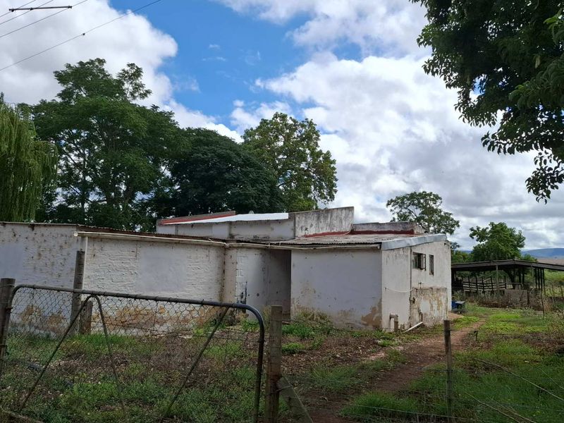 Versatile Property: From Farm to Function Venue! - Photo 7