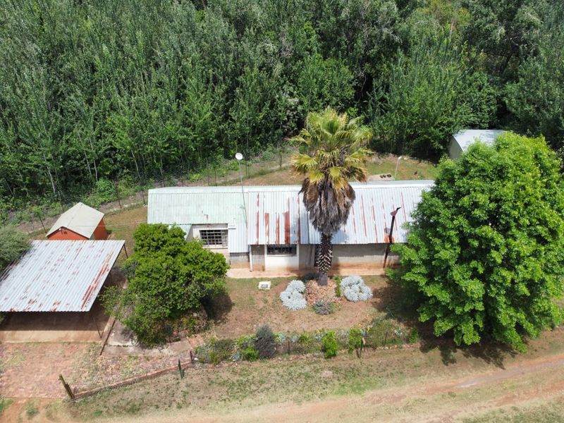 Income-Generating Smallholding with Water Security and Development Potential - Photo 7