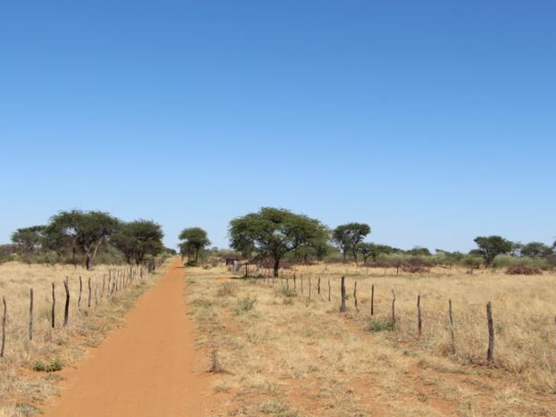 CATTLE FARM FOR SALE IN OTJOZONDJUPA REGION - Photo 10