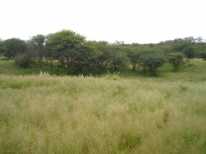 Plot for Sale Okahandja - Photo 6