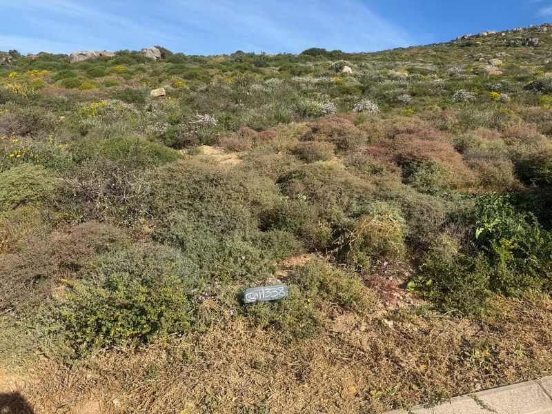 Elevated Coastal Stand for Sale – St Helena Views Phase 2 - Photo 2
