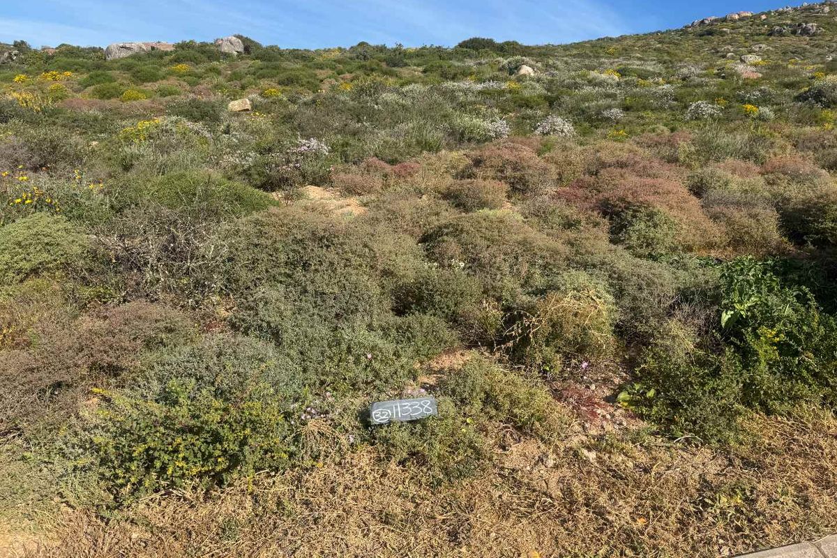 Elevated Coastal Stand for Sale – St Helena Views Phase 2 - Photo 2