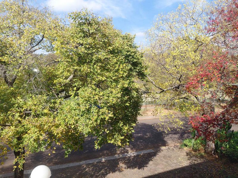 FAMILY HOME! MAKE AN OFFER! - Photo 2