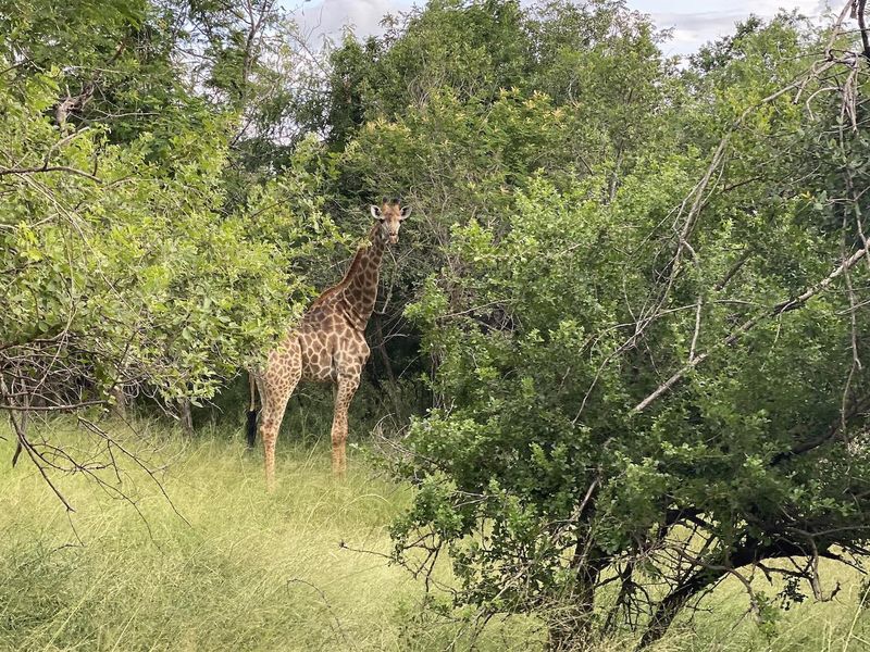 Build Your Dream Home - Photo 9