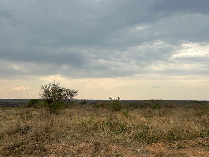 Prime Opportunity for Cash Buyers: Secure This Expansive Grazing Farm Property Today! - Photo 4