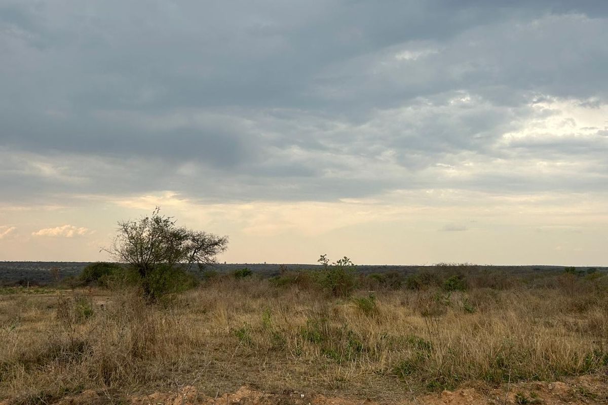 Prime Opportunity for Cash Buyers: Secure This Expansive Grazing Farm Property Today! - Photo 4