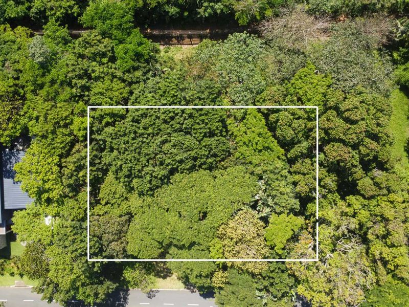 An aerial view of a vacant residential plot heavily covered with mature trees and dense vegetation.