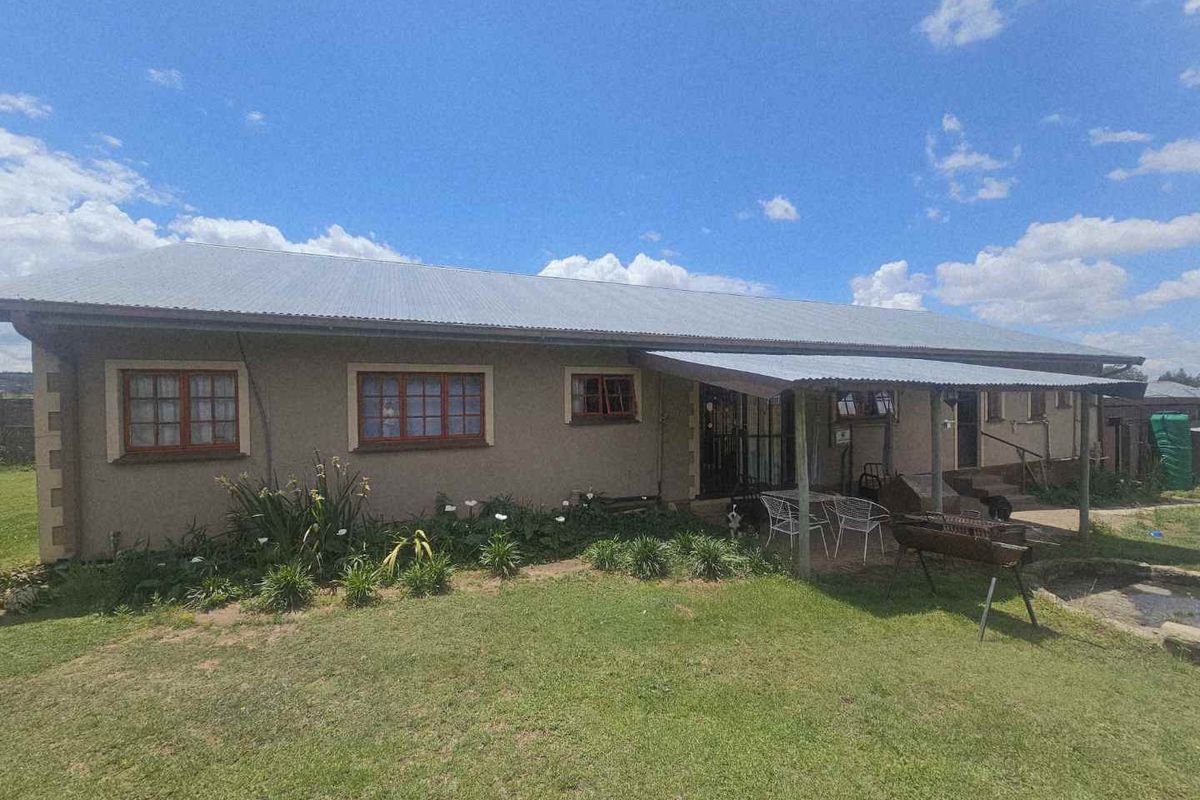 Rear view of the house featuring a covered patio area, corrugated metal roof, and established garden space.