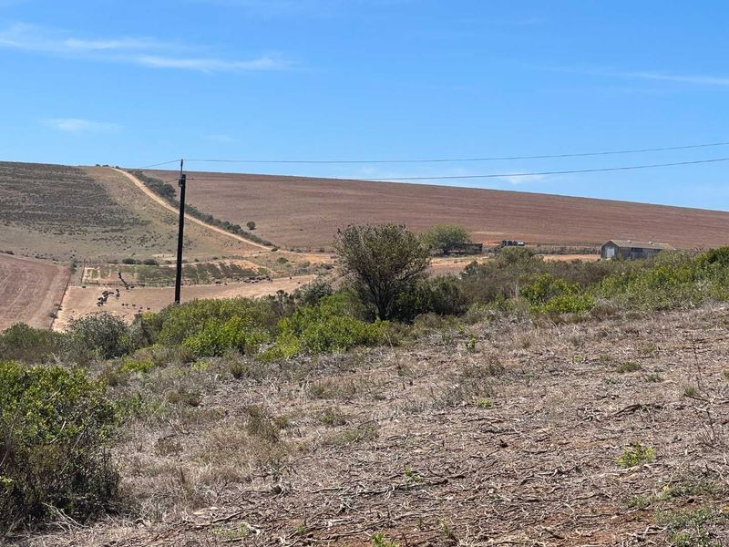 766m2 Vacant Stand For Sale in Hartland Lifestyle Estate - Exclusive Opportunity - Photo 6